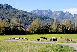 Vall d'en Bas